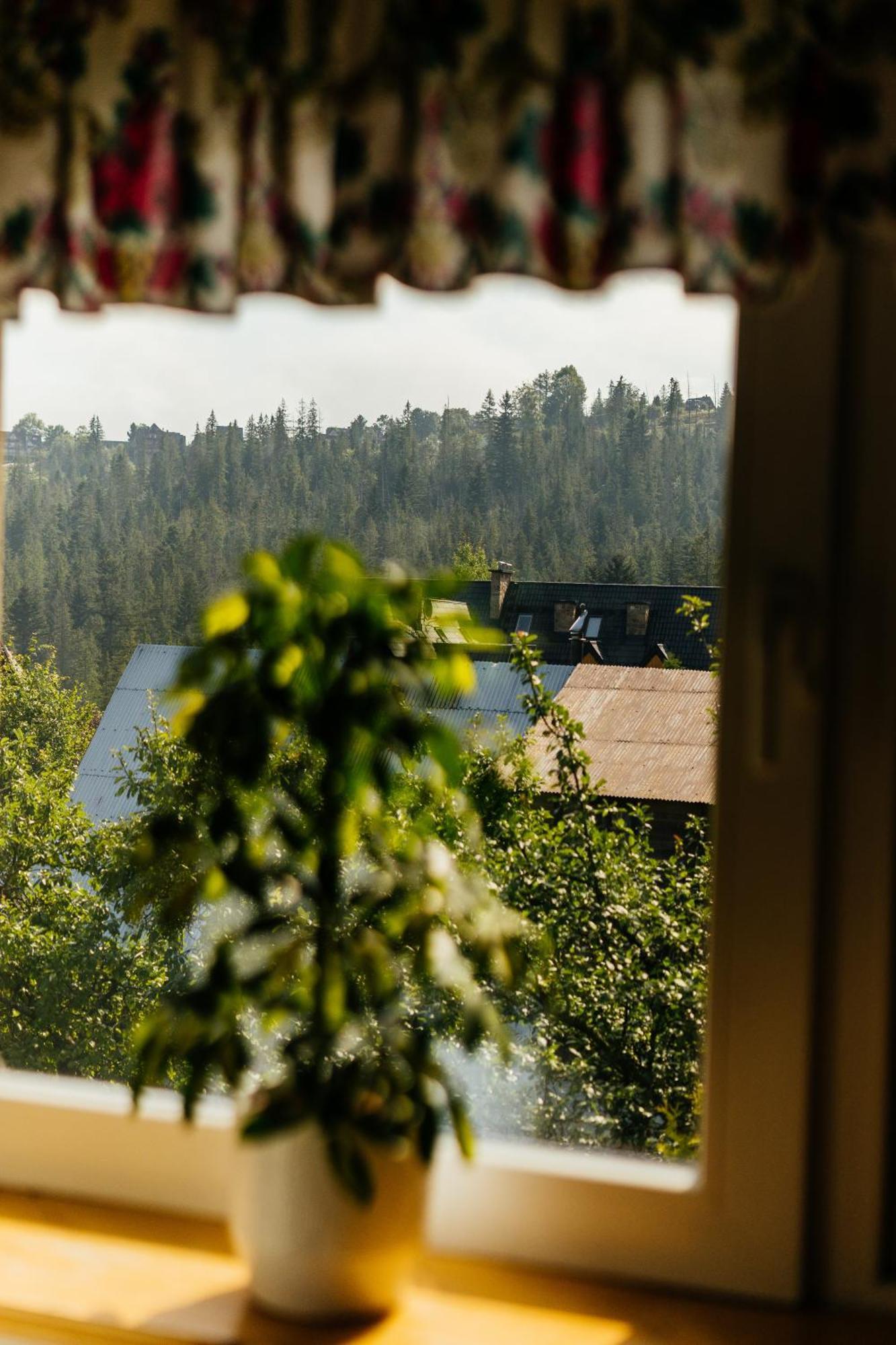 Willa Marta M Sauna Jacuzzi Zakopane Buitenkant foto